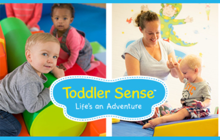 A picture of Toddler Sense